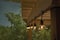 10ct. Shatterproof Globe LED Solar String Lights by Ashland®